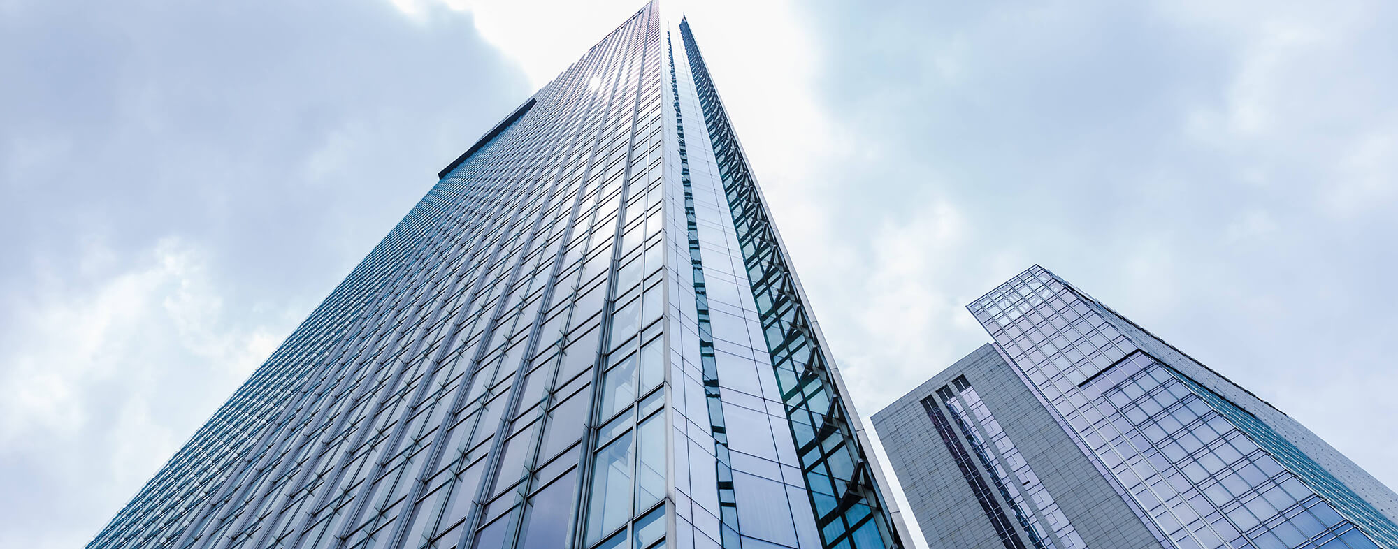 濟南丝瓜影视成人网科技有限公司 濟南丝瓜影视成人网科技有限公司